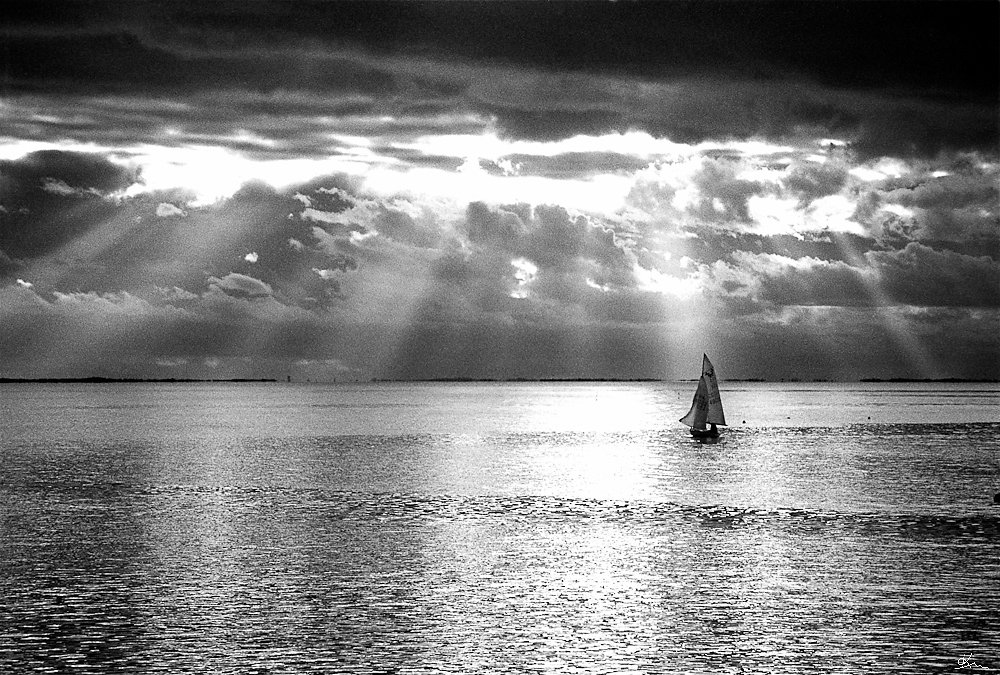 Dériveur sur la baie d'Angoulins