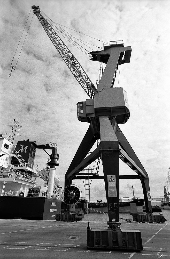 Grue à grains