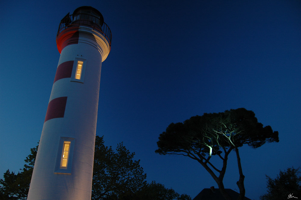 Phare d'alignement et pin - Un des phares d'alignement du Vieux Port, avec le pin du jardin de la capitainerie.