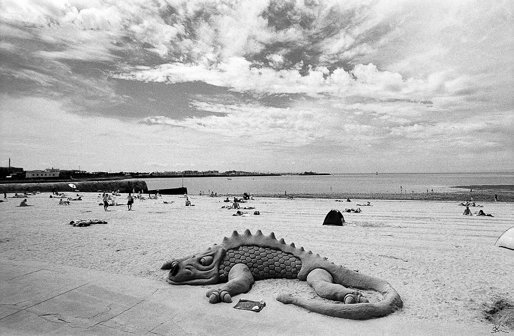 Dragon sur la plage