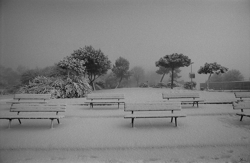 Parc dans la neige