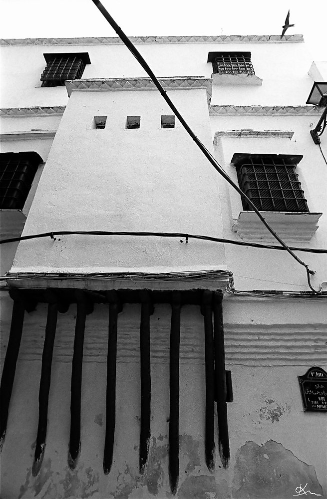 L'hirondelle de la Casbah - Alger 2008